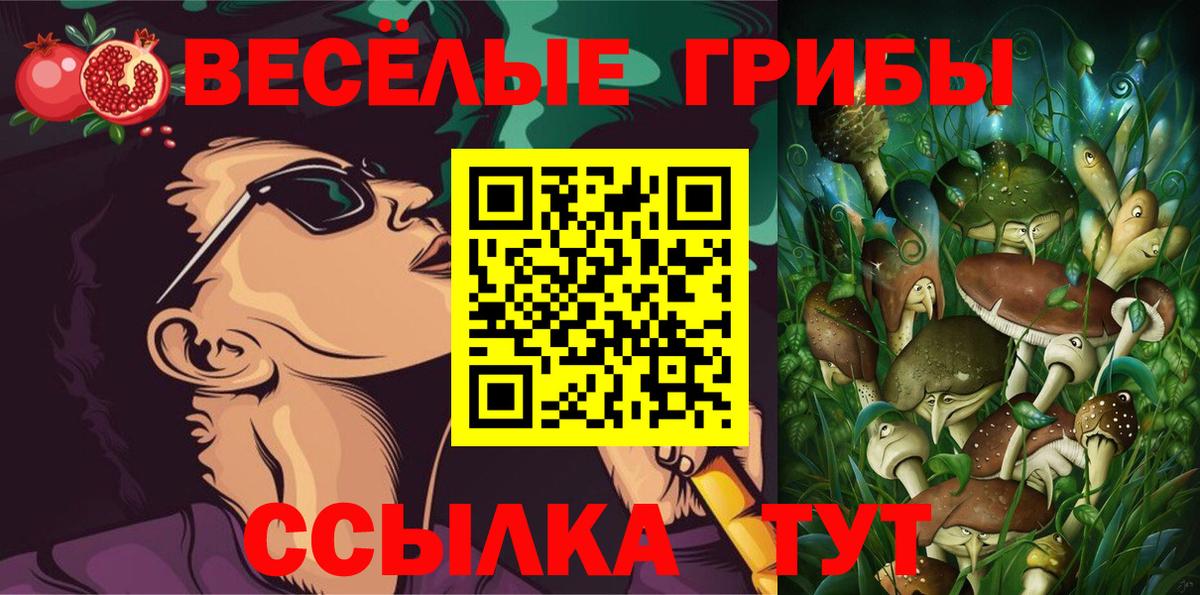 купить   Галлюциногенные грибы мицелий  Вход с VPN  Лянтор 