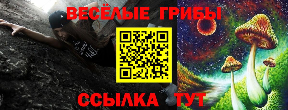 Псилоцибиновые грибы ЛСД Лянтор